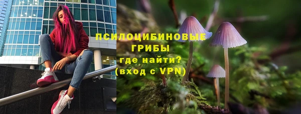 героин Алзамай