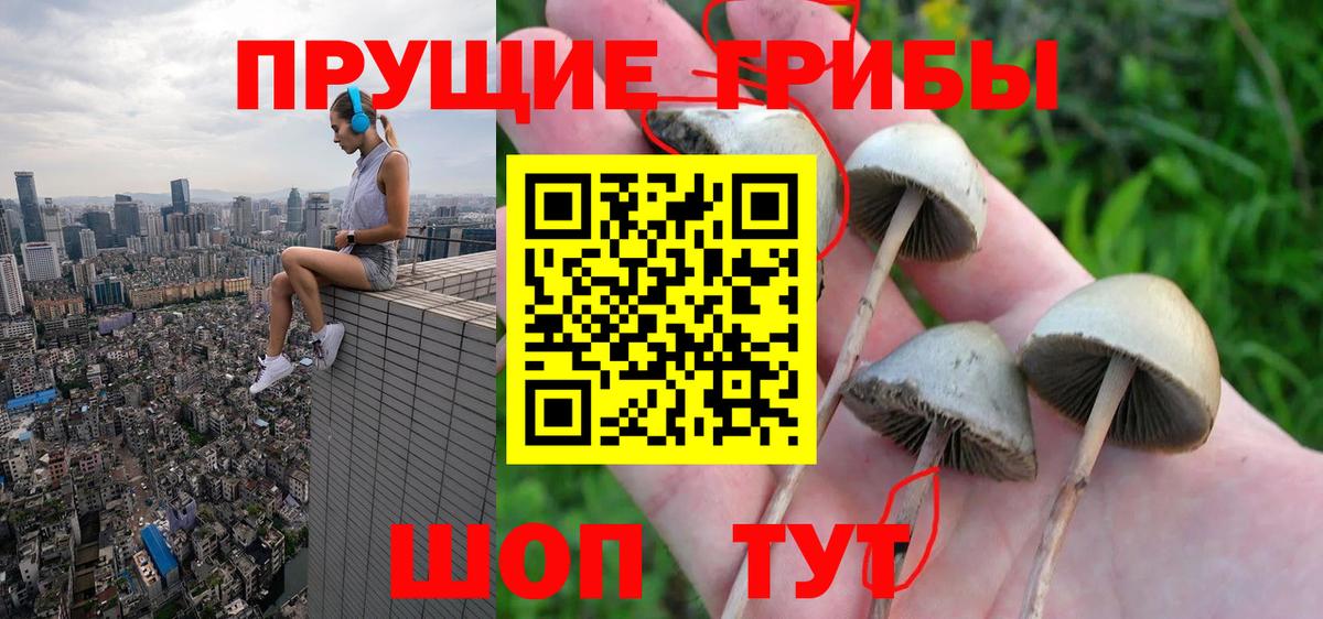 как найти закладки  Вход с VPN  Апатиты  Галлюциногенные грибы мицелий 